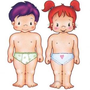 cuerpo Humano