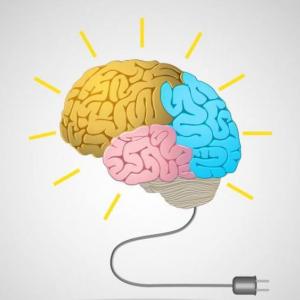 Inteligencia emocional