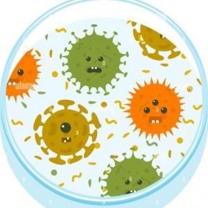Microorganismos