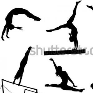 CARRERA POR LA GIMNASIA
