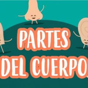Partes del cuerpo humano/ Parts of the body