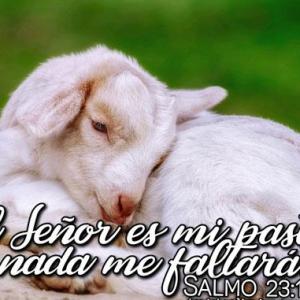 Salmo 23