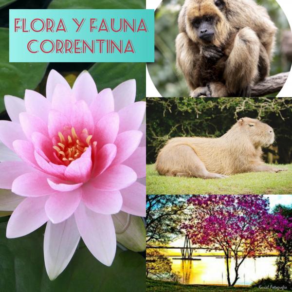 Flora y Fauna