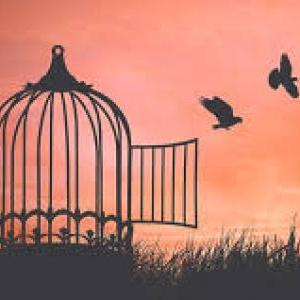 La libertad en la adolescencia