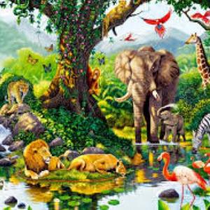 Trivia de características de los Seres vivos y Célula.