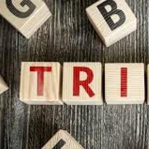 TRIVIA