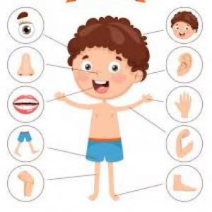 Talking about physical description