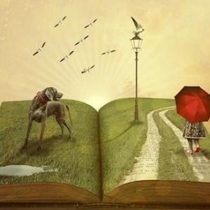 La Novela genero literario