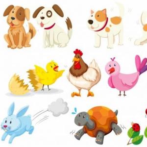 Tarjeta de memorias de los Animales Domesticos