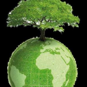 Bioética global