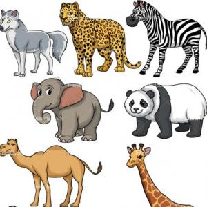 ANIMALS