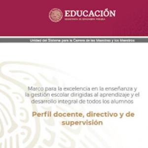 Imagen de portada del videojuego educativo: DOMINIOS DEL PERFIL DOCENTE, de la temática Lengua