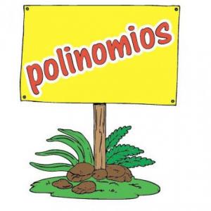 Sumas de polinomios