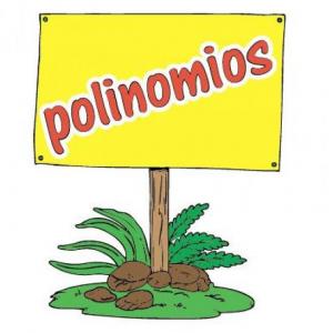 Restas de Polinomios