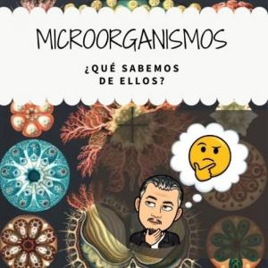 Microohorcados