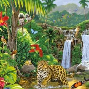 Animales de la selva