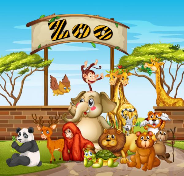 Zoo Animals- memory