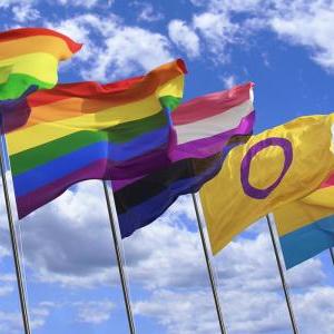 Banderas de la Diversidad