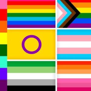 Banderas de la Diversidad