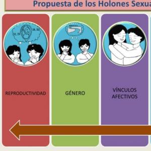 Imagen de portada del videojuego educativo:  conceptos basicos de sexualidad humana, de la temática Biología