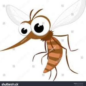 ACTUEMOS ANTES DE LA LLEGADA DEL AEDES AEGYPTI,  EL DENGUE