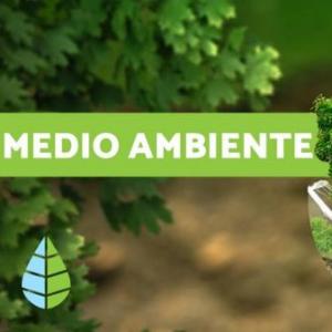 Medio ambiente