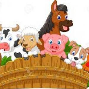 busquemos los animales
