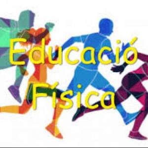 Proyecto Final Educación Física 