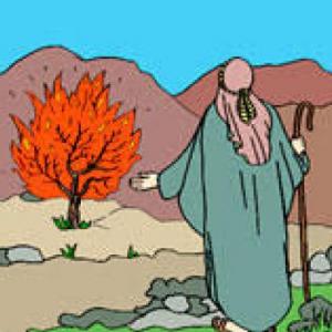 LA VOVACION DE MOISES