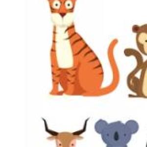 Animales interesante.