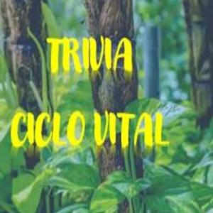 Ciclo de vida de las plantas