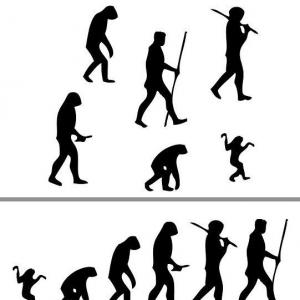 teoria de la vida 