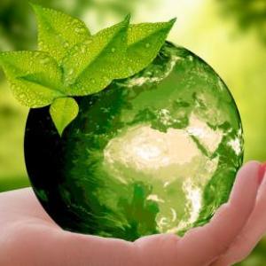 Día del ambiente