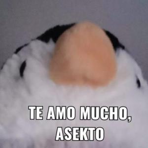 Trivia esposa :3