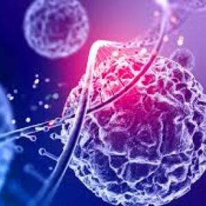 aprende y juega sobre la nanotecnologia