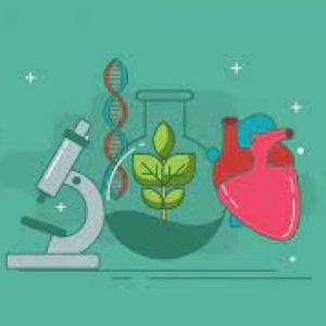 Cuestionario de Biología
