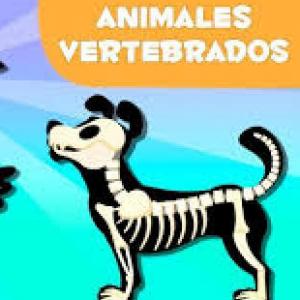 ANIMALES VERTEBRADOS