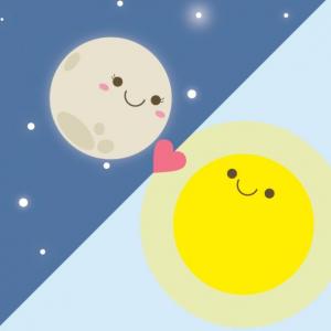Day and night activities