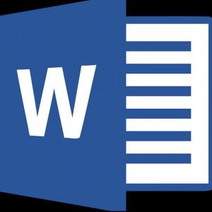 MS WORD