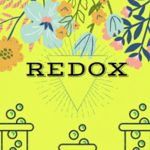¡Aprende y recuerda sobre Redox!