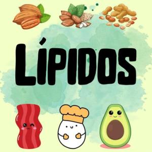 Los Lípidos