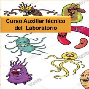 TECNICO LABORATORISTA