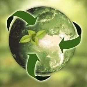 Jugando al ecologista