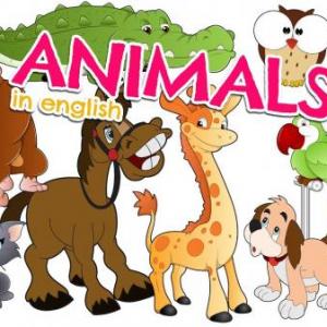 ANIMALS