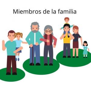 Adivina qué miembro de la familia es