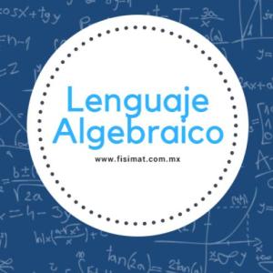 Lenguaje algebraico