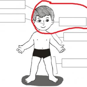 PARTES DEL CUERPO HUMANO