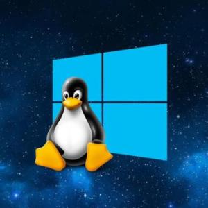 Windux