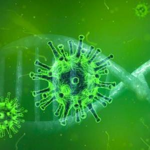 ¿Qué sabes del Coronavirus?