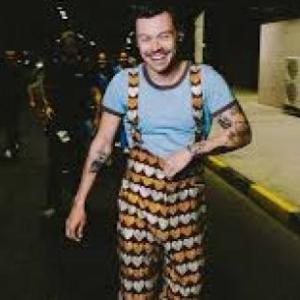 tarjetas de memorias de harry styles
